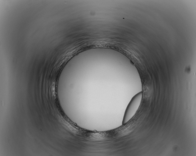 X0000091480238200708161154