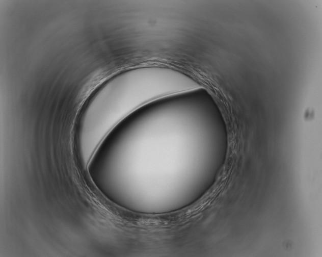 X0000091480242200708161154