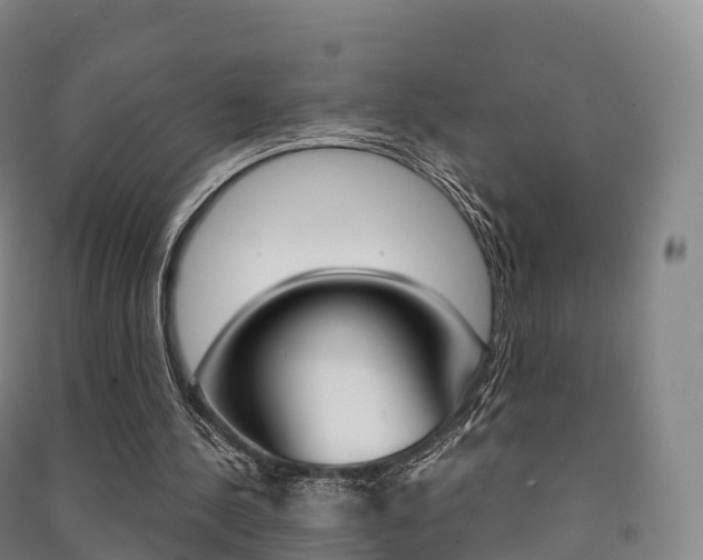 X0000091480244200708161154