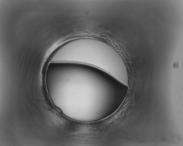 X0000091480246200708161154