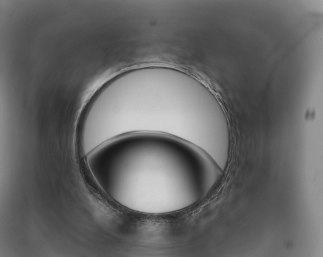 X0000091480248200708161154