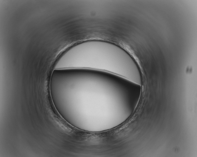X0000091480249200708161154