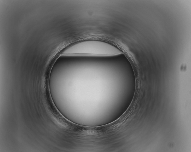 X0000091480250200708161154