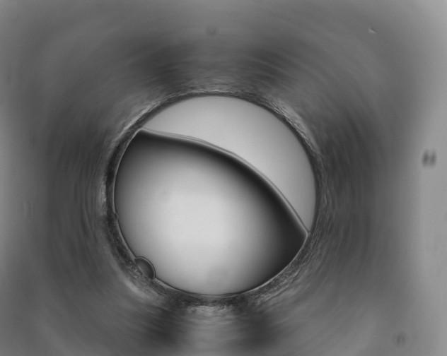 X0000091480251200708161154