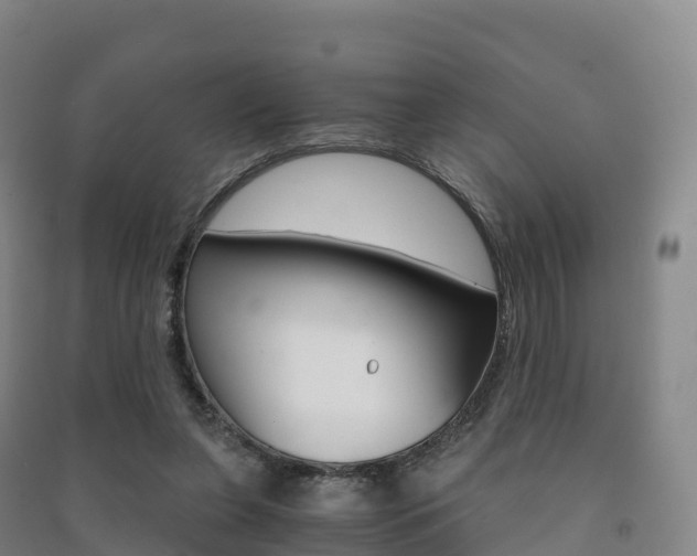 X0000091480255200708161154
