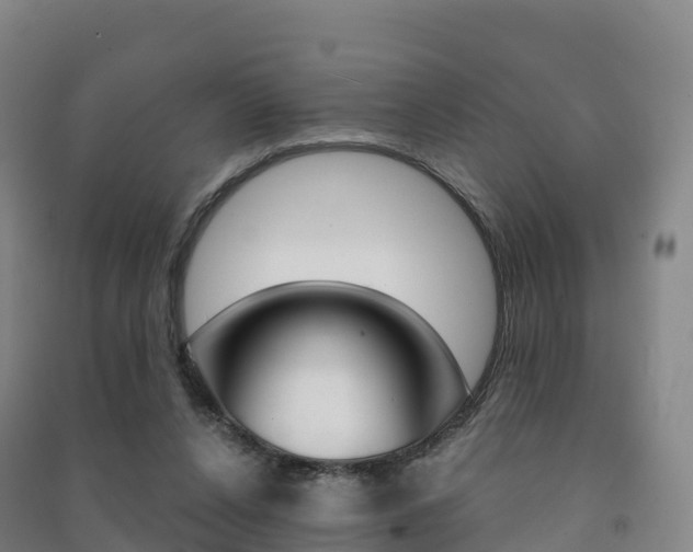 X0000091480256200708161154