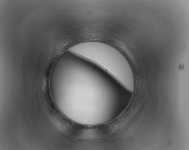 X0000091480259200708161154