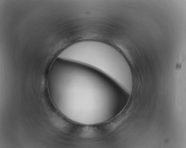 X0000091480261200708161154