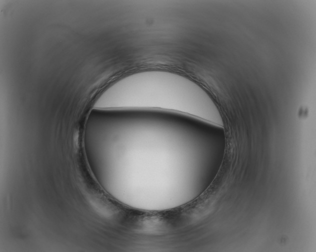 X0000091480262200708161154