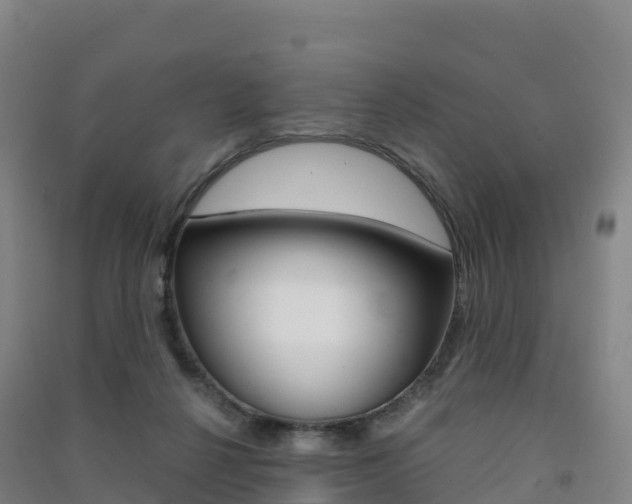 X0000091480264200708161154