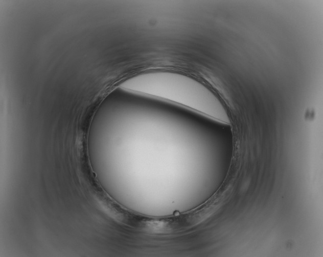 X0000091480265200708161154