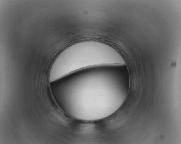 X0000091480266200708161154