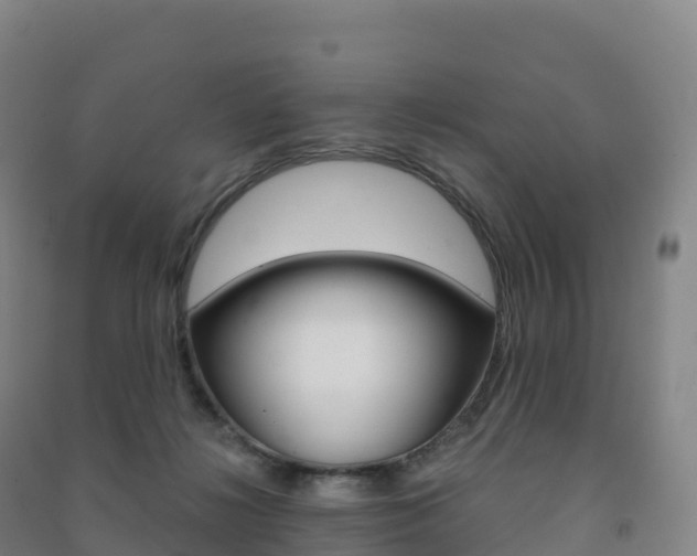 X0000091480268200708161154