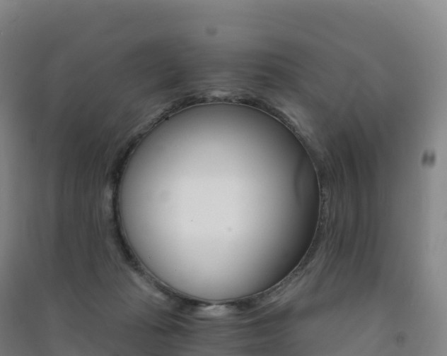 X0000091480269200708161154