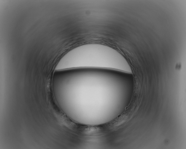 X0000091480274200708161154