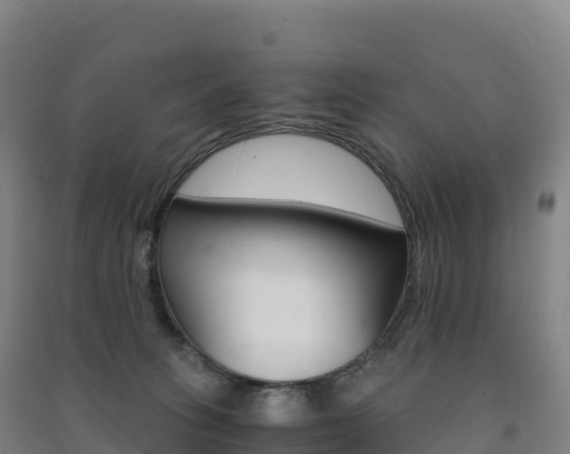 X0000091480275200708161154
