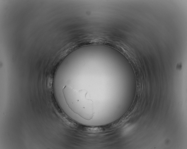 X0000091480281200708161154