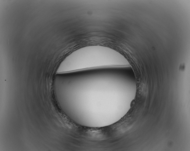 X0000091480283200708161154
