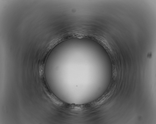 X0000091480285200708161154