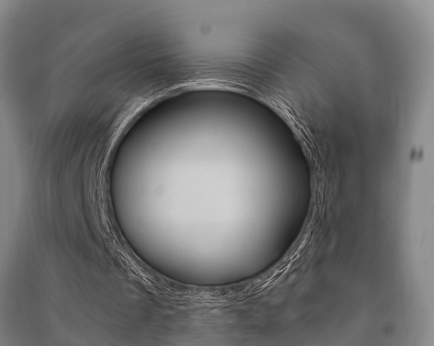 X0000091480289200708161154