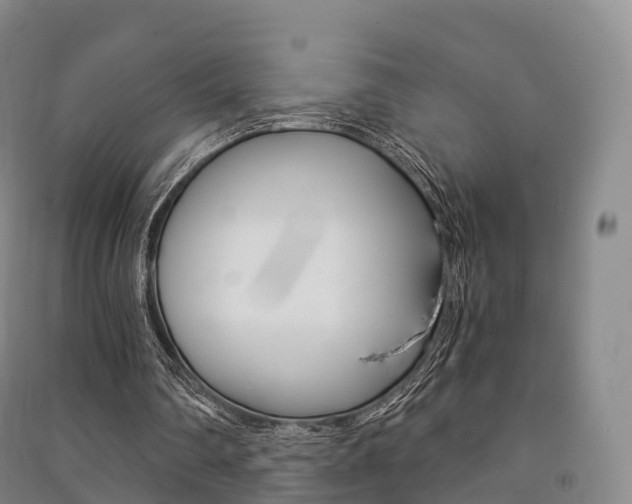 X0000091480290200708161154