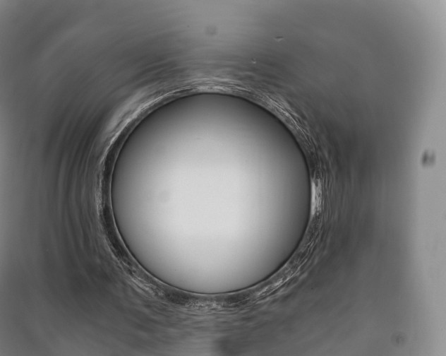 X0000091480291200708161154