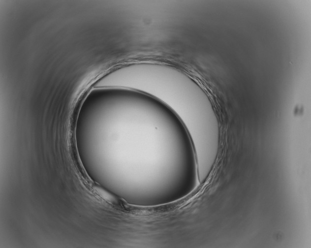 X0000091480293200708161154