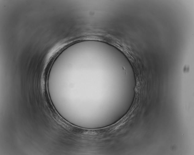 X0000091480294200708161154
