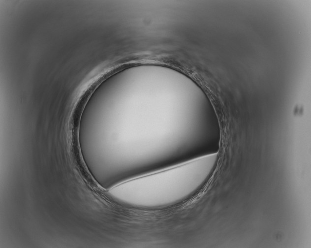 X0000091480295200708161154