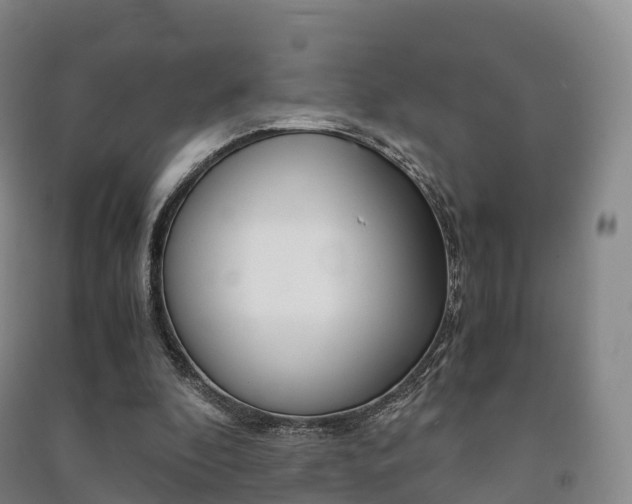 X0000091480296200708161154