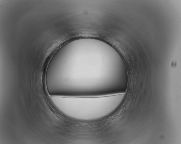 X0000091480299200708161154