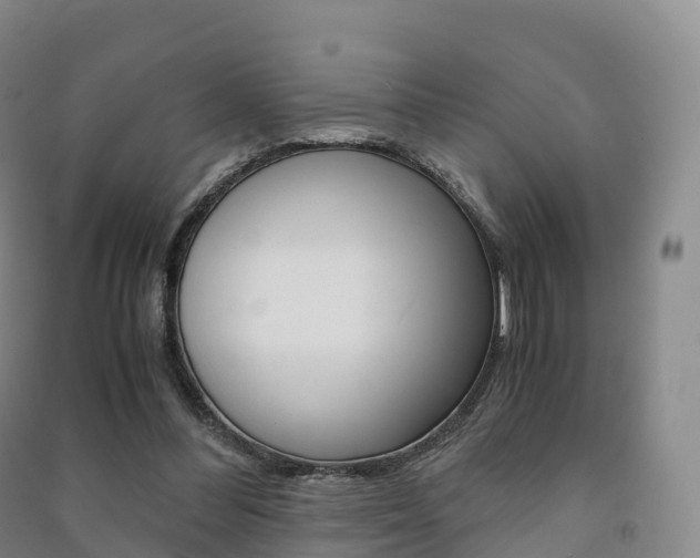X0000091480300200708161154