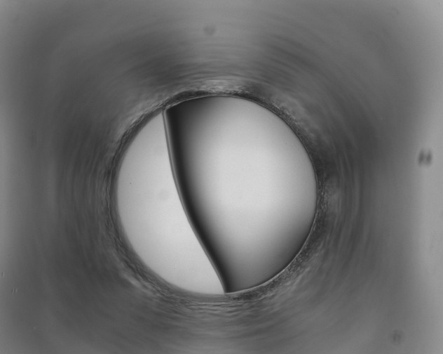 X0000091480303200708161154