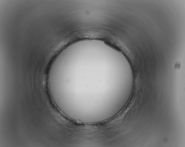 X0000091480305200708161153