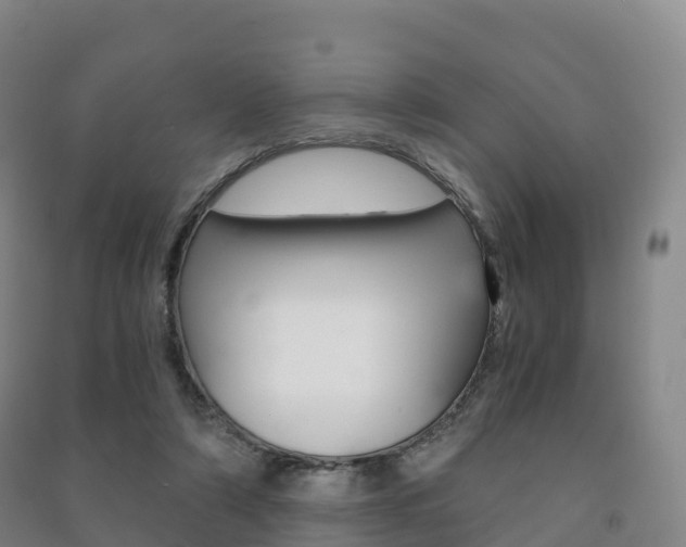 X0000091480306200708161153