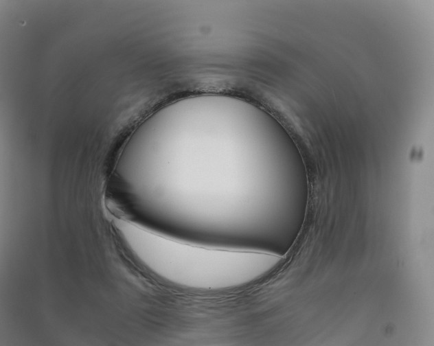 X0000091480307200708161153
