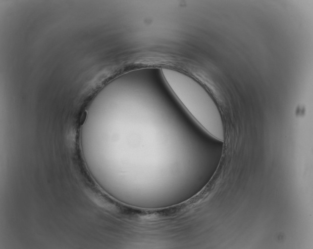 X0000091480309200708161153