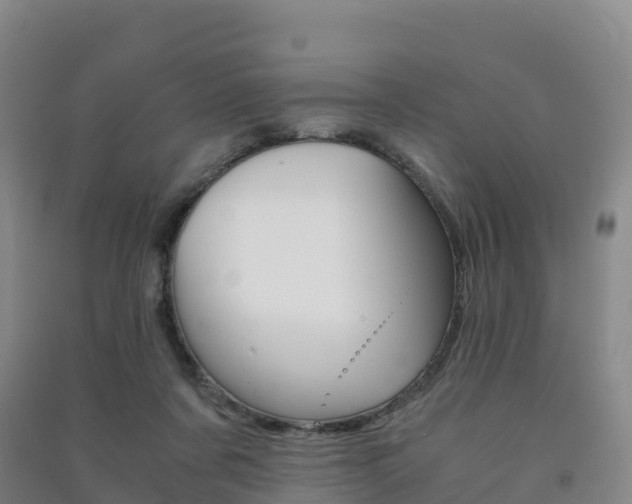 X0000091480311200708161153