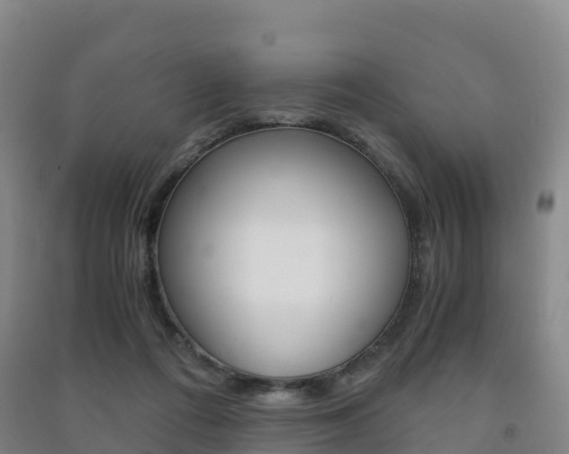 X0000091480312200708161153
