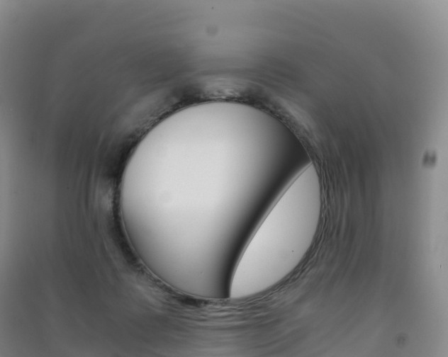 X0000091480315200708161153