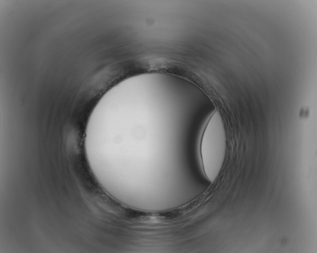 X0000091480316200708161153