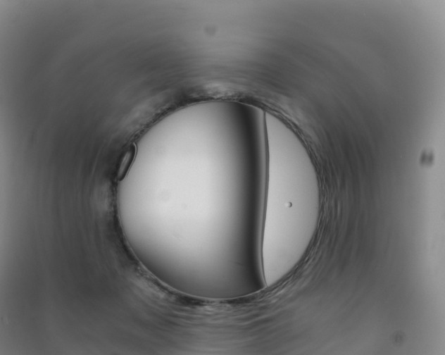 X0000091480317200708161153