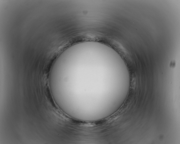 X0000091480318200708161153