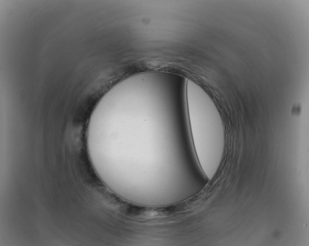 X0000091480319200708161153