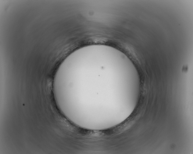 X0000091480321200708161153
