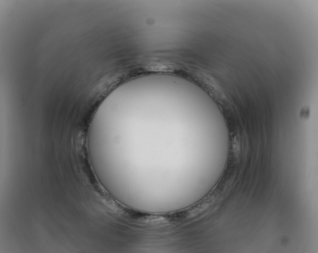 X0000091480322200708161153