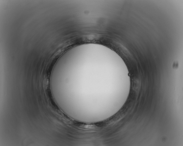 X0000091480324200708161153