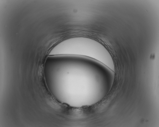 X0000091480325200708161153