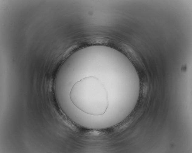X0000091480326200708161153