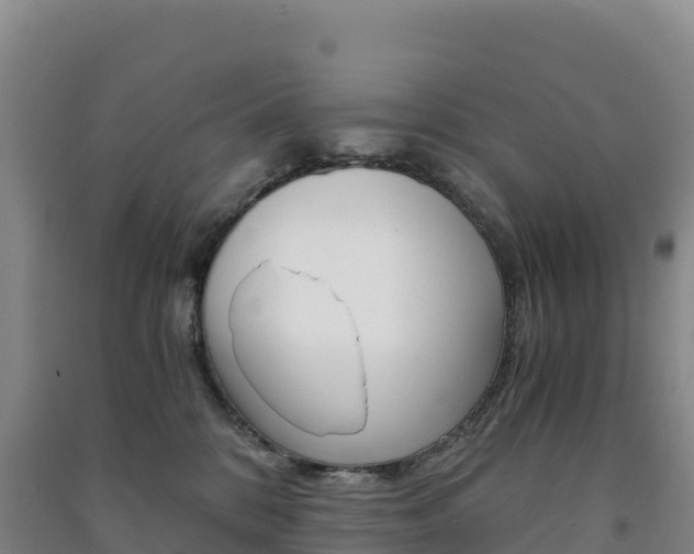 X0000091480328200708161153